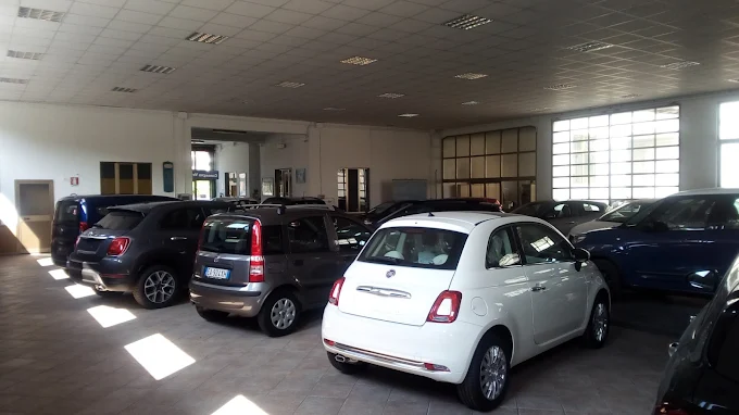 Cagnoni Cars S.r.l.