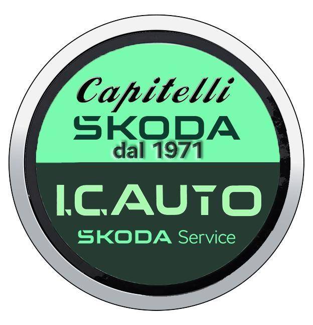 I.C. AUTO S.R.L.
