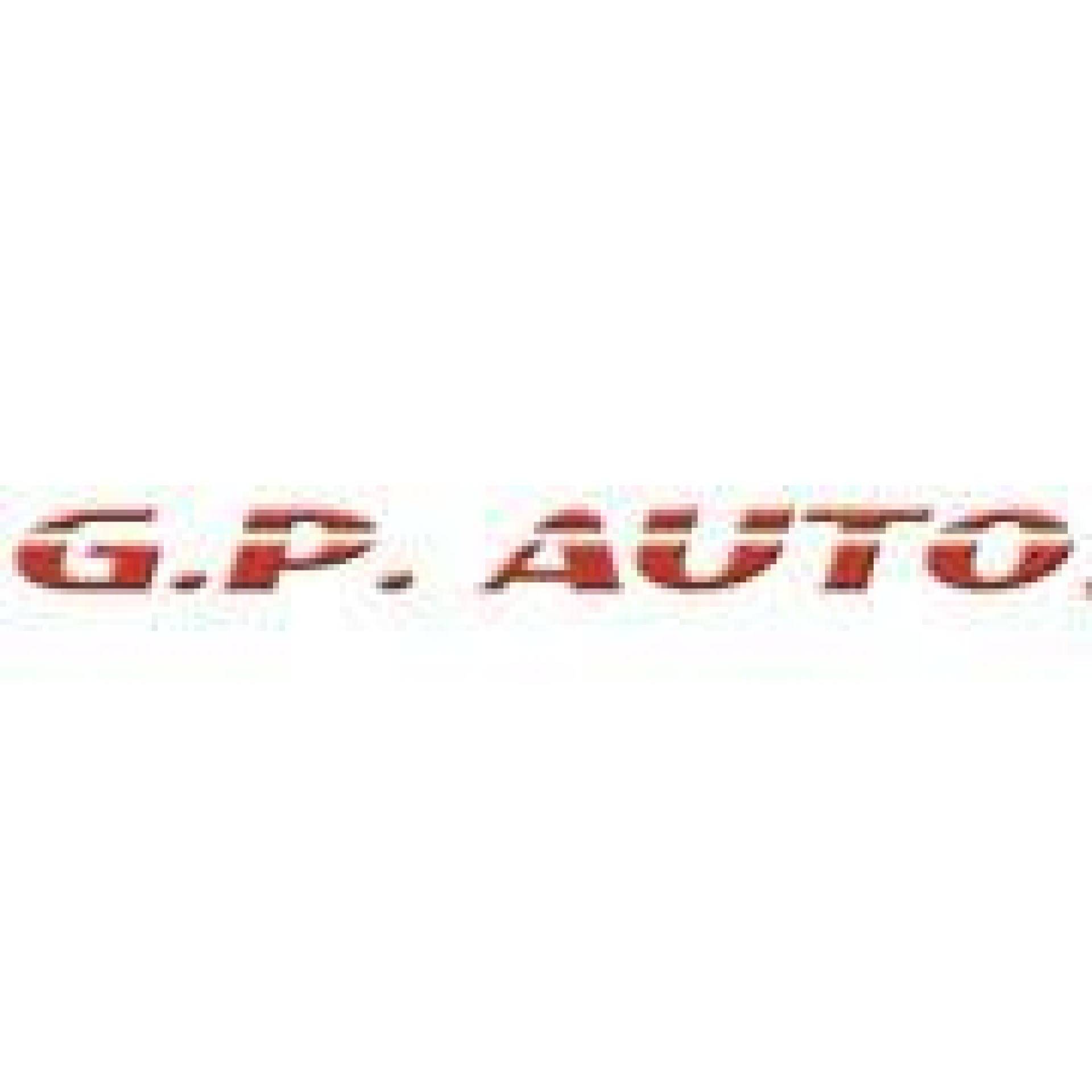 G.P. AUTO DI FILIPPO PANTANI & C.SNC