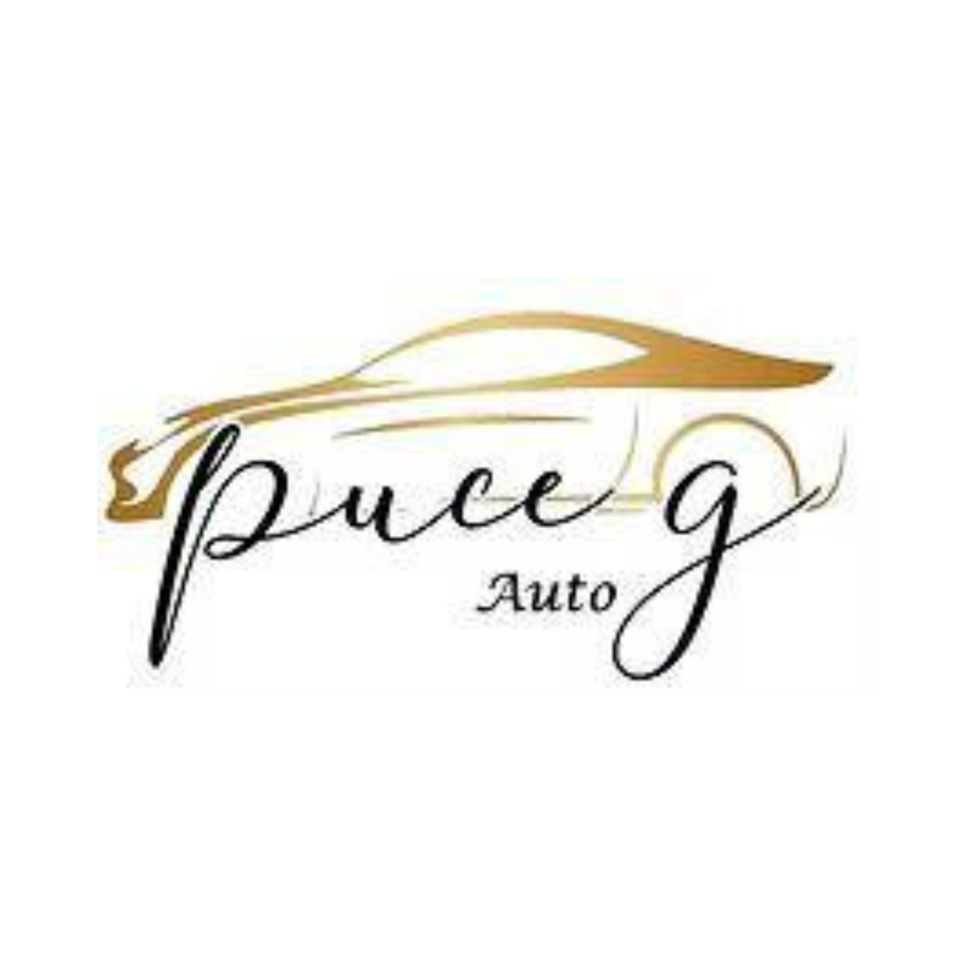 Logo di PUCE G. AUTO SRL