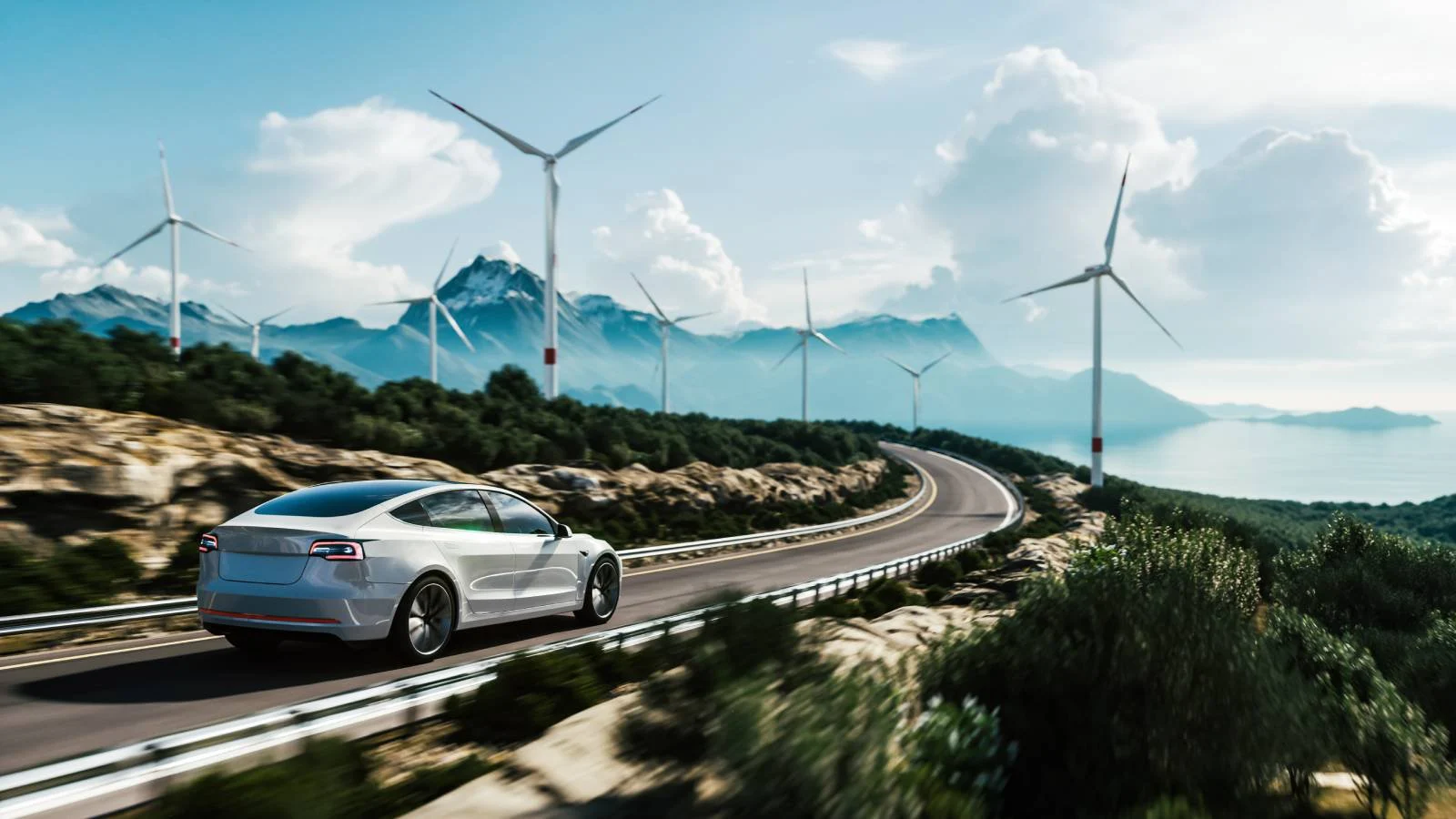 TEMPLUM CARS SRL