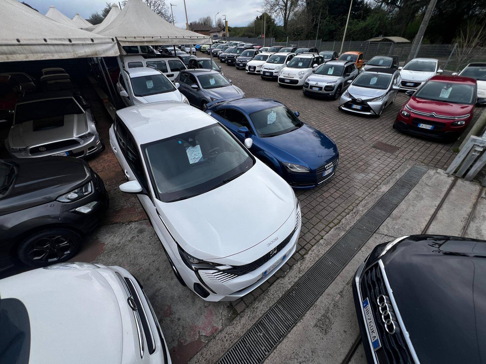 Auto Olmata Srls