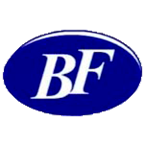 Bf Auto srl