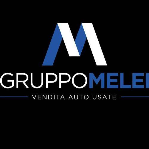 Logo di Gruppo Melei
