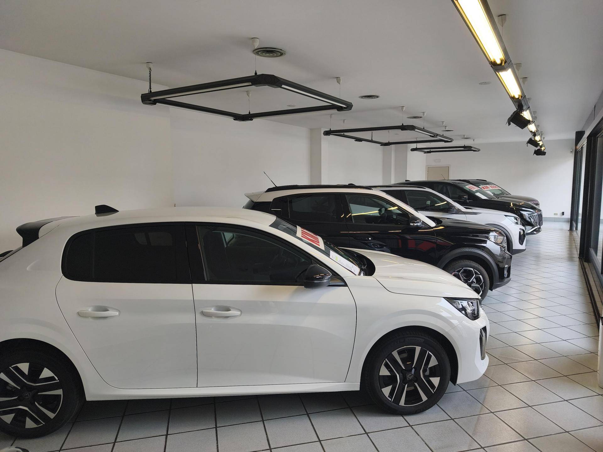 Autosaloneverga Srl