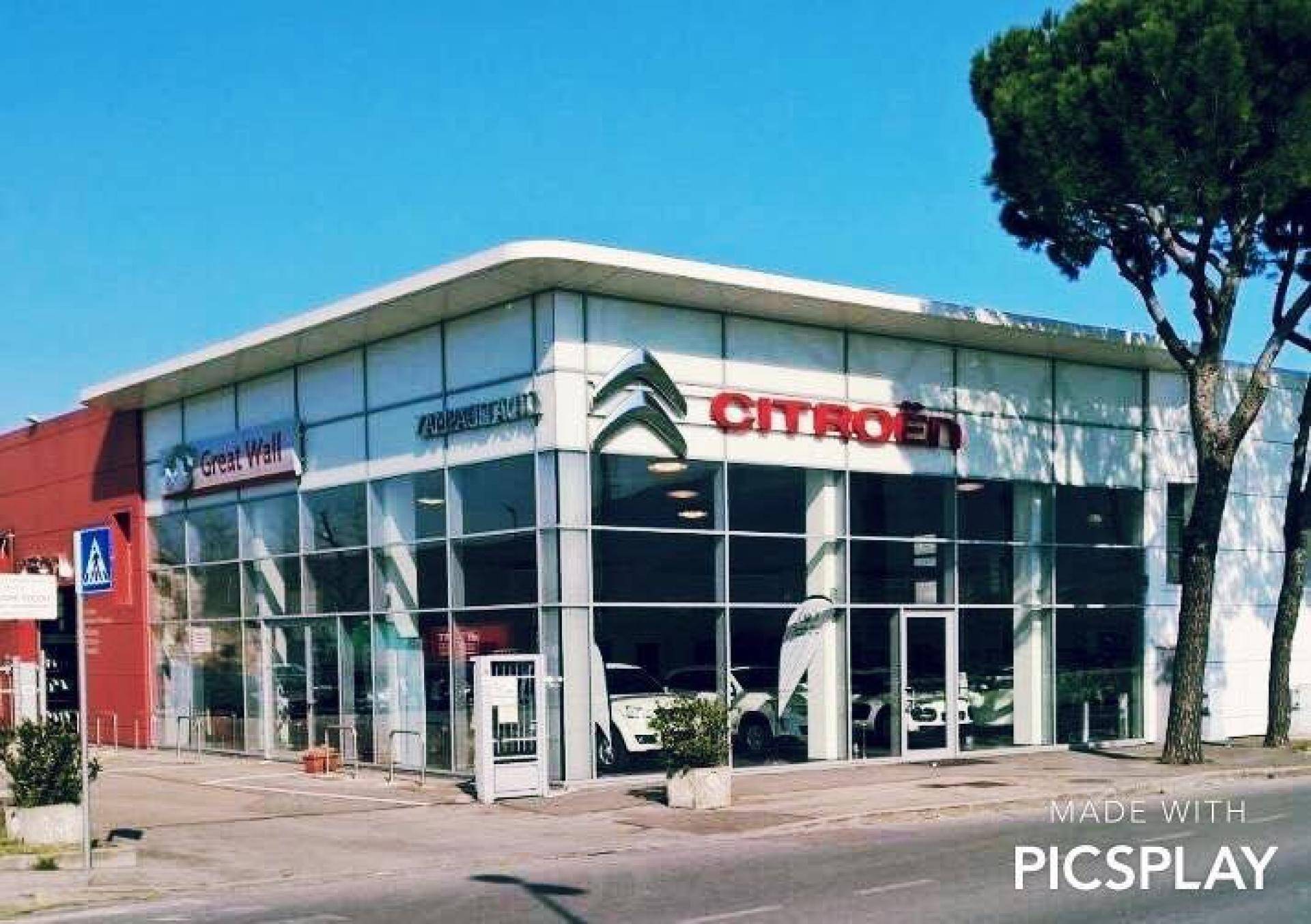 ZAMPAOLI AUTO S.R.L.