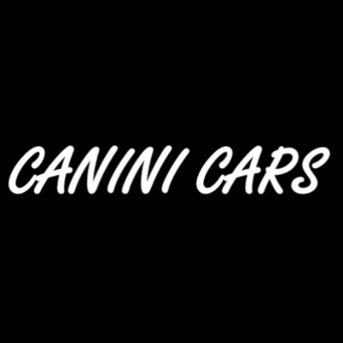 Logo di CANINI CARS