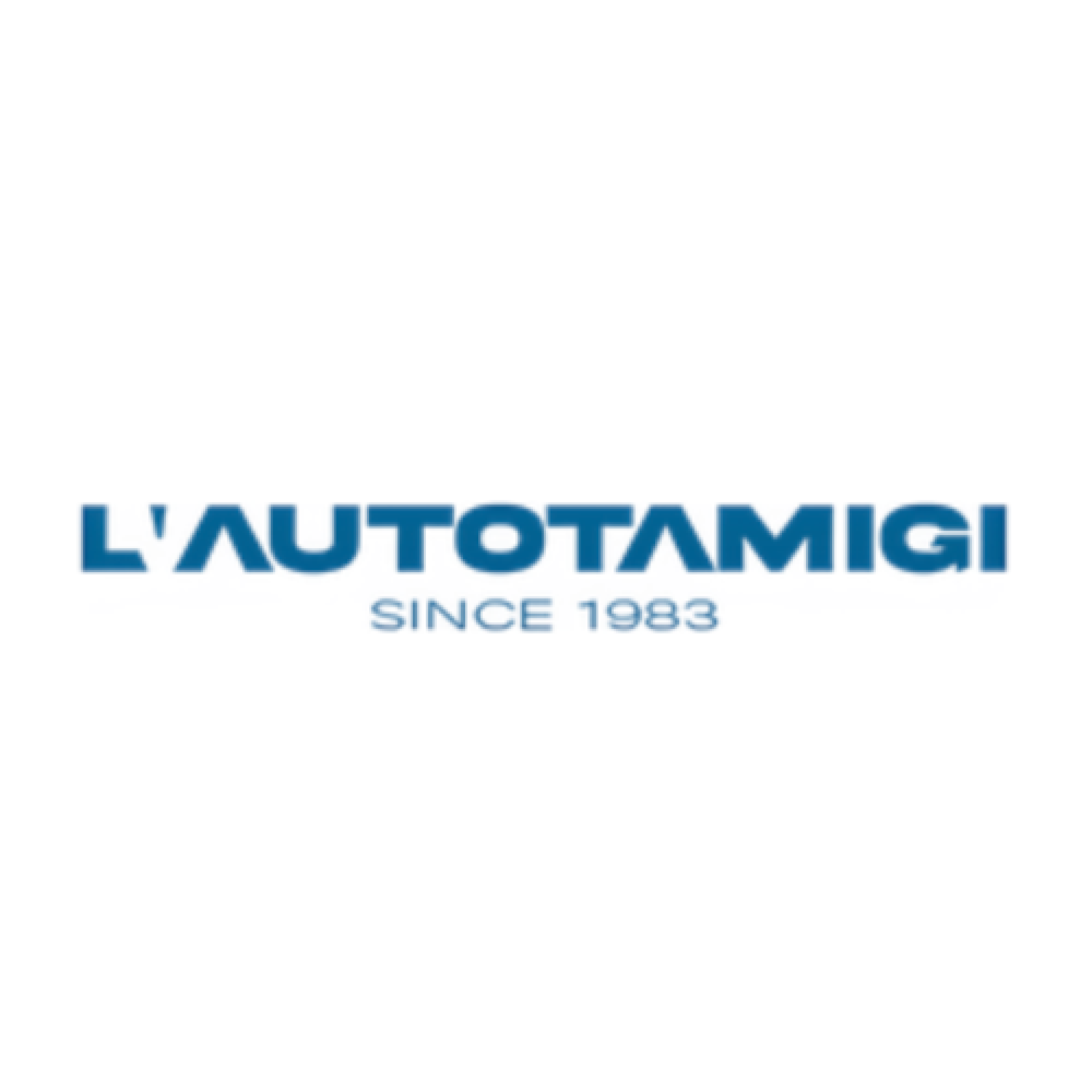 Logo di L' AUTOTAMIGI SRL