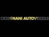"CICOGNANI AUTOVEICOLI - S.R.L."