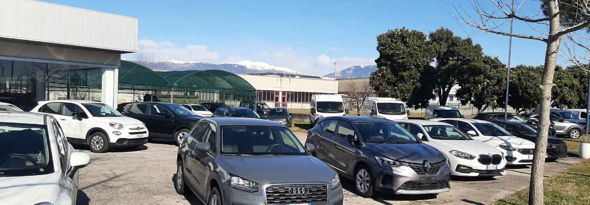 Scopri i servizi dedicati *a te*