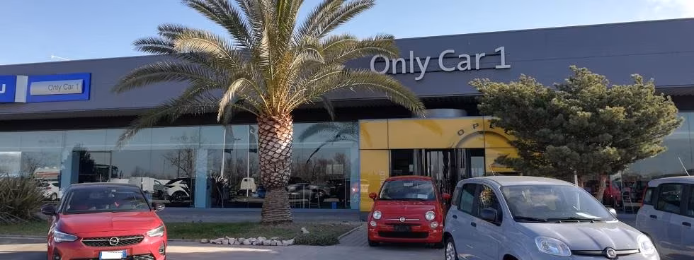 Only Car 1 Srl