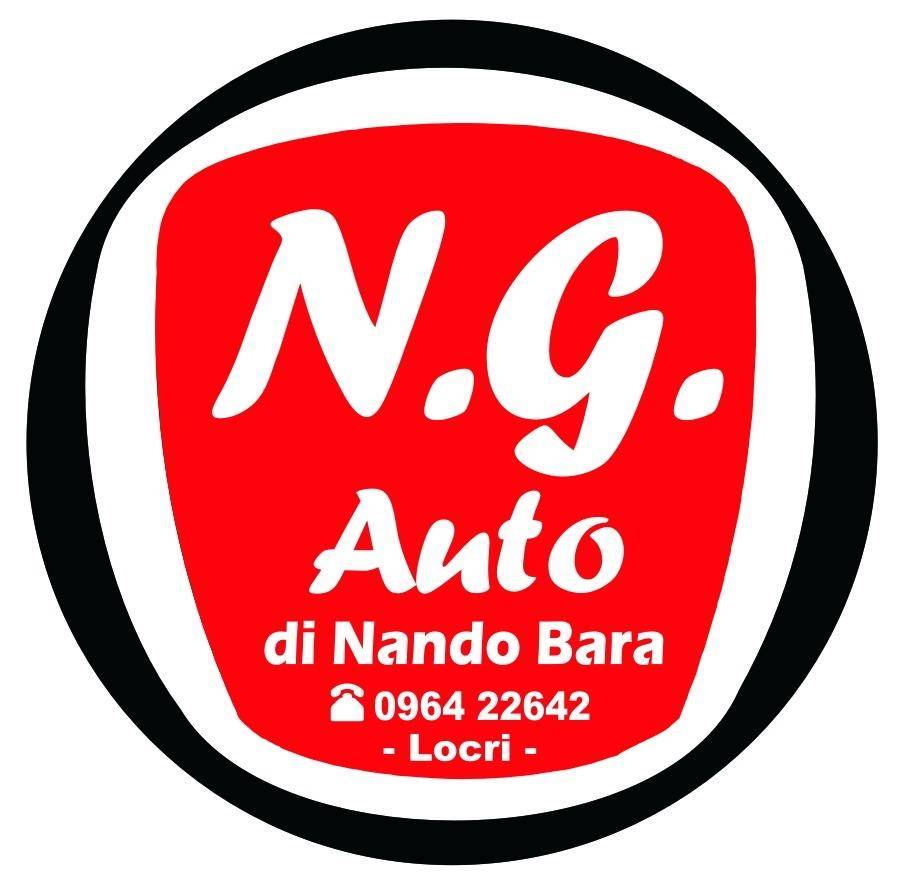 N.G. AUTO S.R.L.S. SOCIETA' A RESPONSABILITA' LIMITATA           SEMPLIFICATA