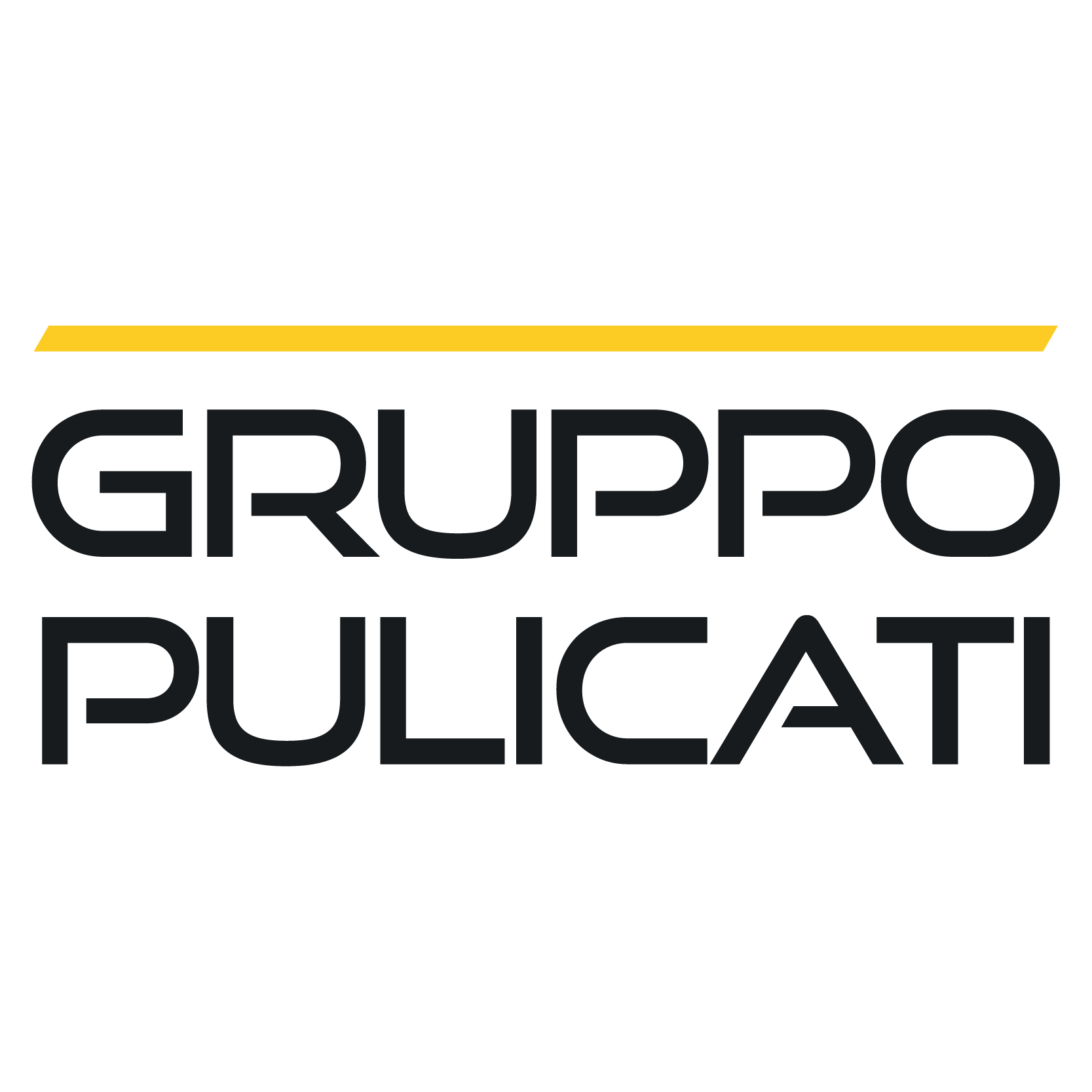 PULICATI AUTO S.R.L.