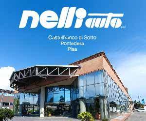 Logo di NELLI AUTO s.r.l.