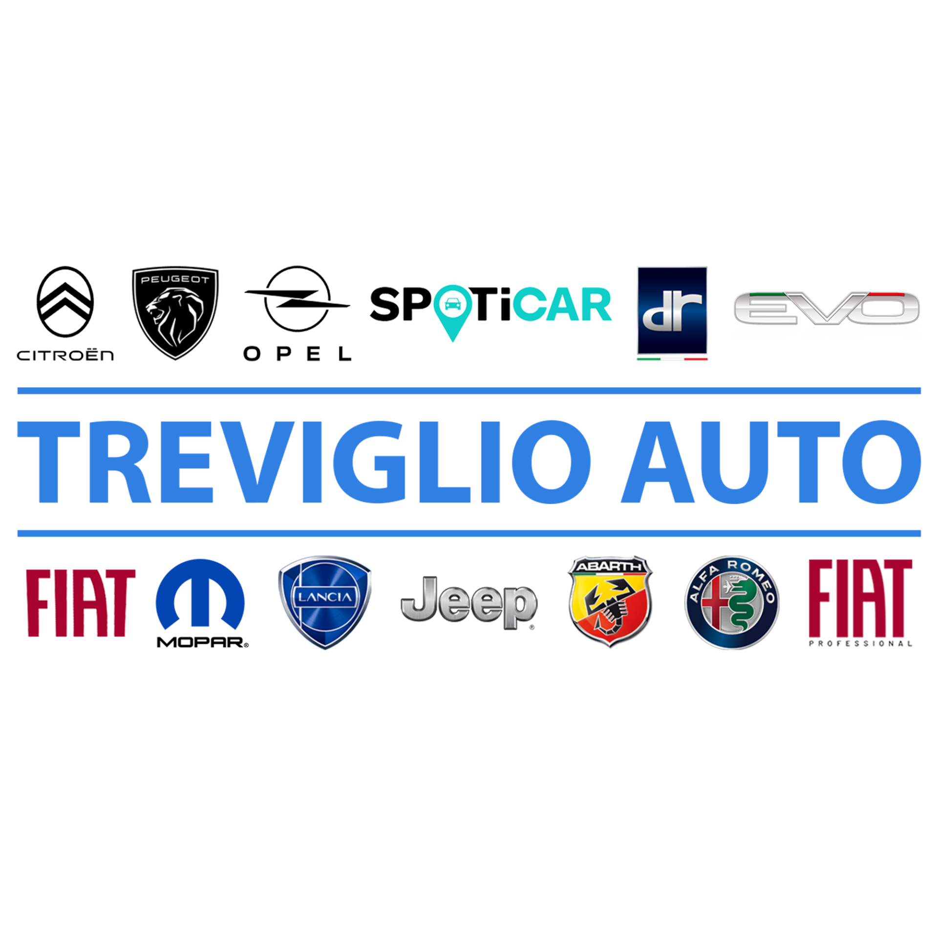Logo di TREVIGLIO AUTO SRL