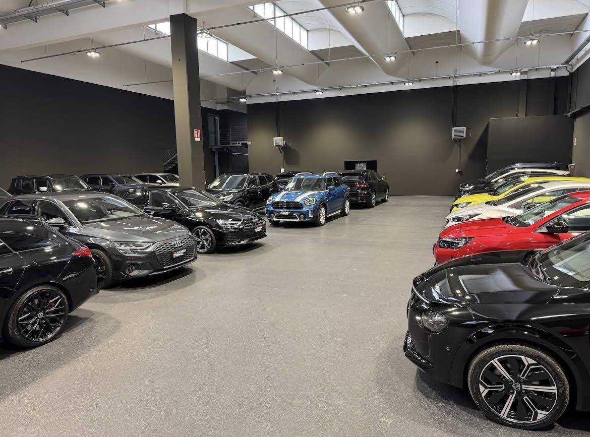 L.S AUTO DI MANENTI CRISTIAN