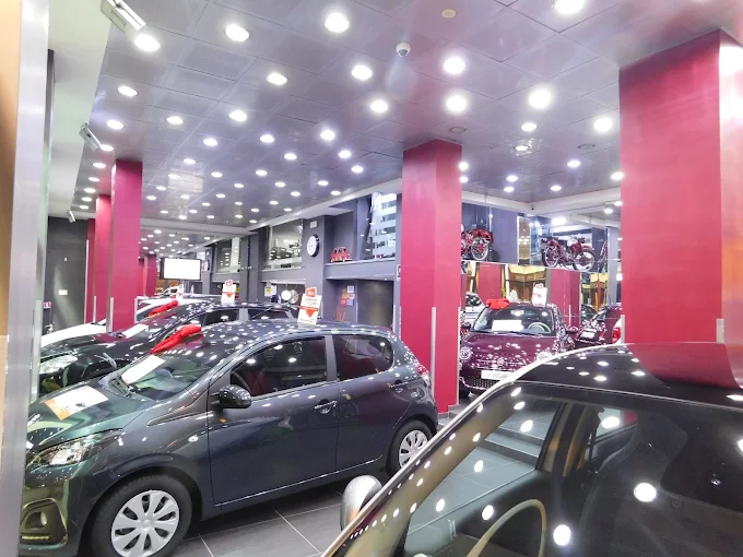 Cm Cars  Srl