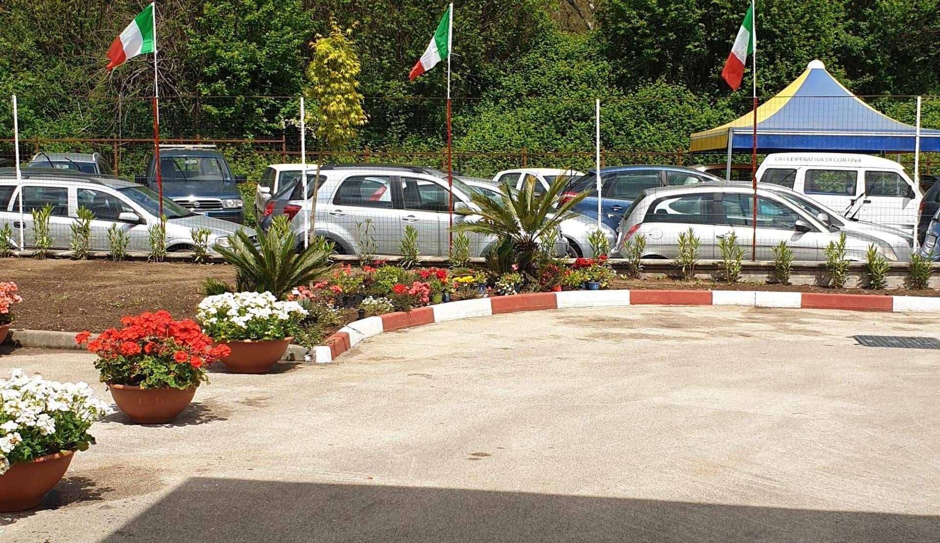 DI. DO. CARS DI DI DOMENICO FRANCESCO