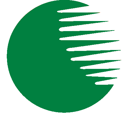 Fatticcioni Auto Srl