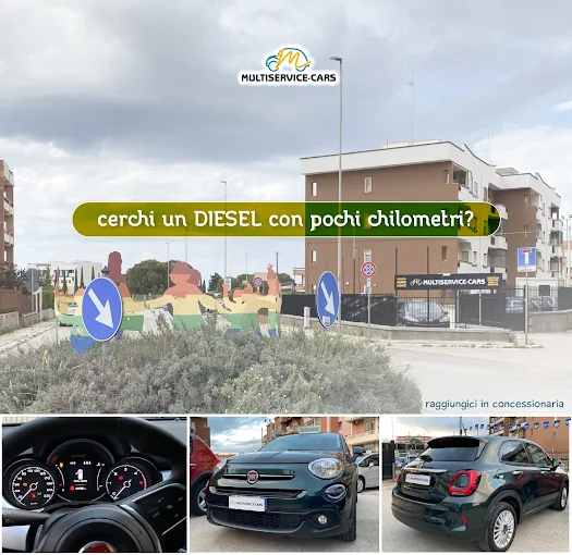 MULTISERVICE CARS S.R.L.S.