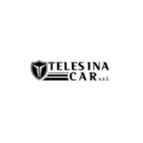 Logo di TELESINA CAR