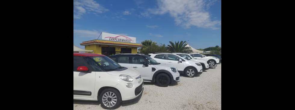 Carplurimarche Srls