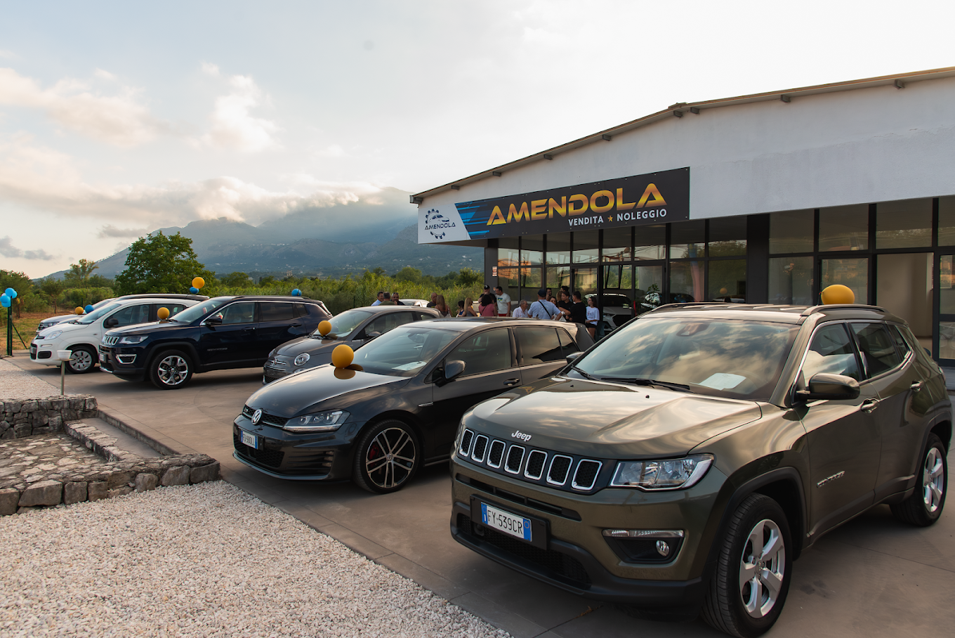 AMENDOLA AUTO SRL