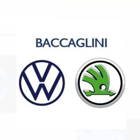 Logo di BACCAGLINI IVO E STEFANO S.N.C.