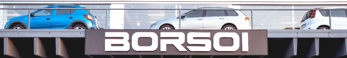 Borsoi Srl