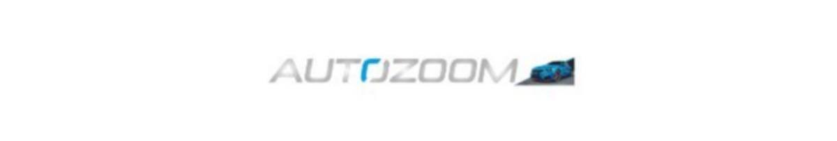 AUTOZOOM DI BINI DAVIDE