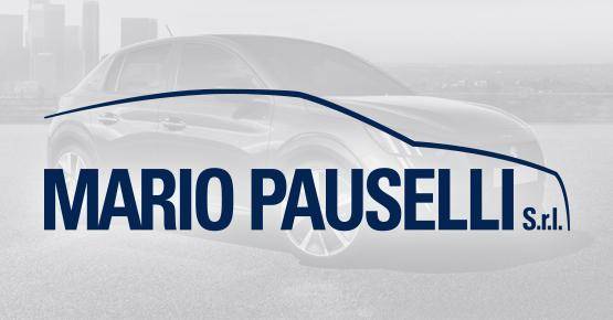 Mario Pauselli Srl