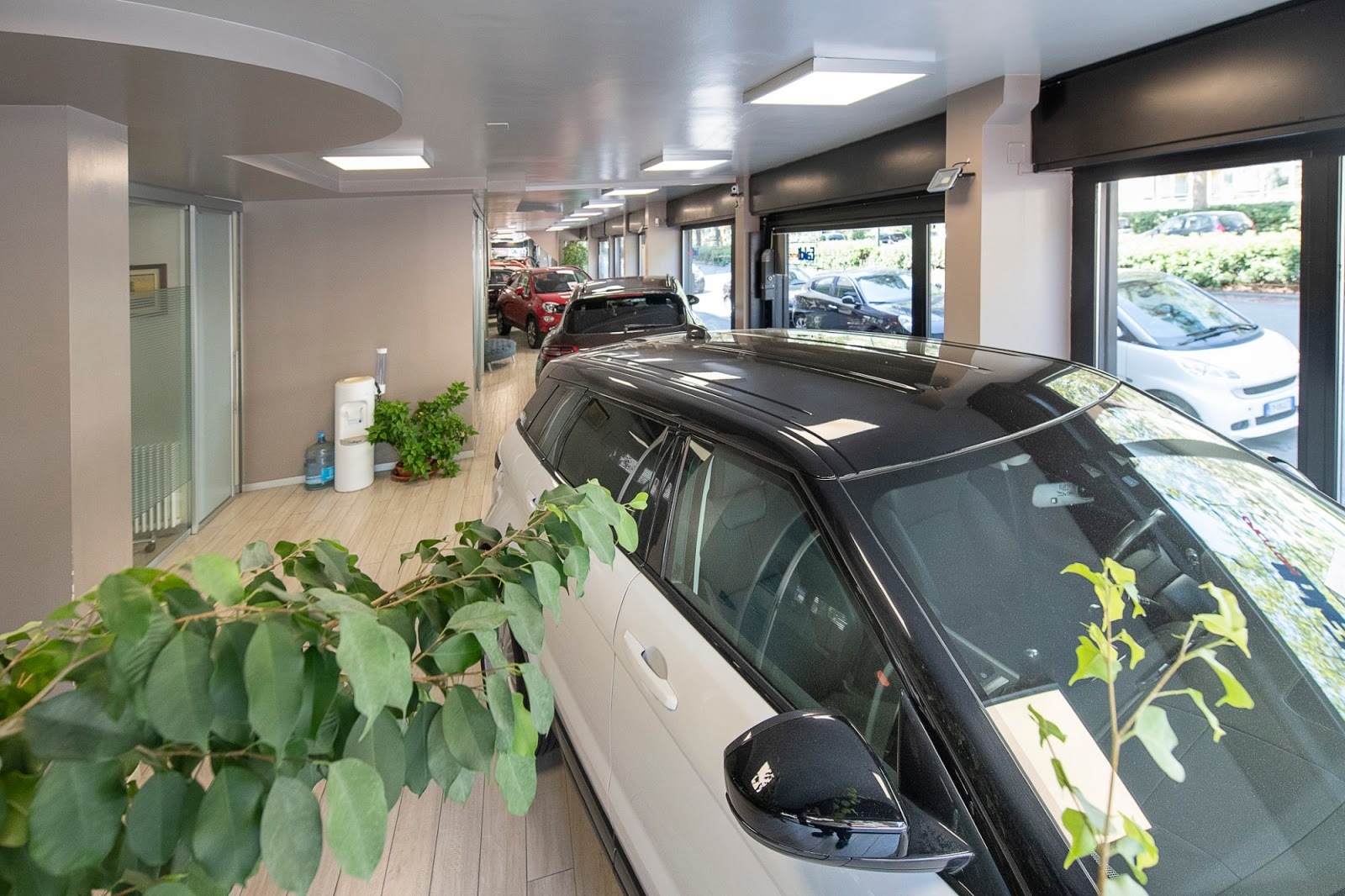 FALDI MOTORS SRL