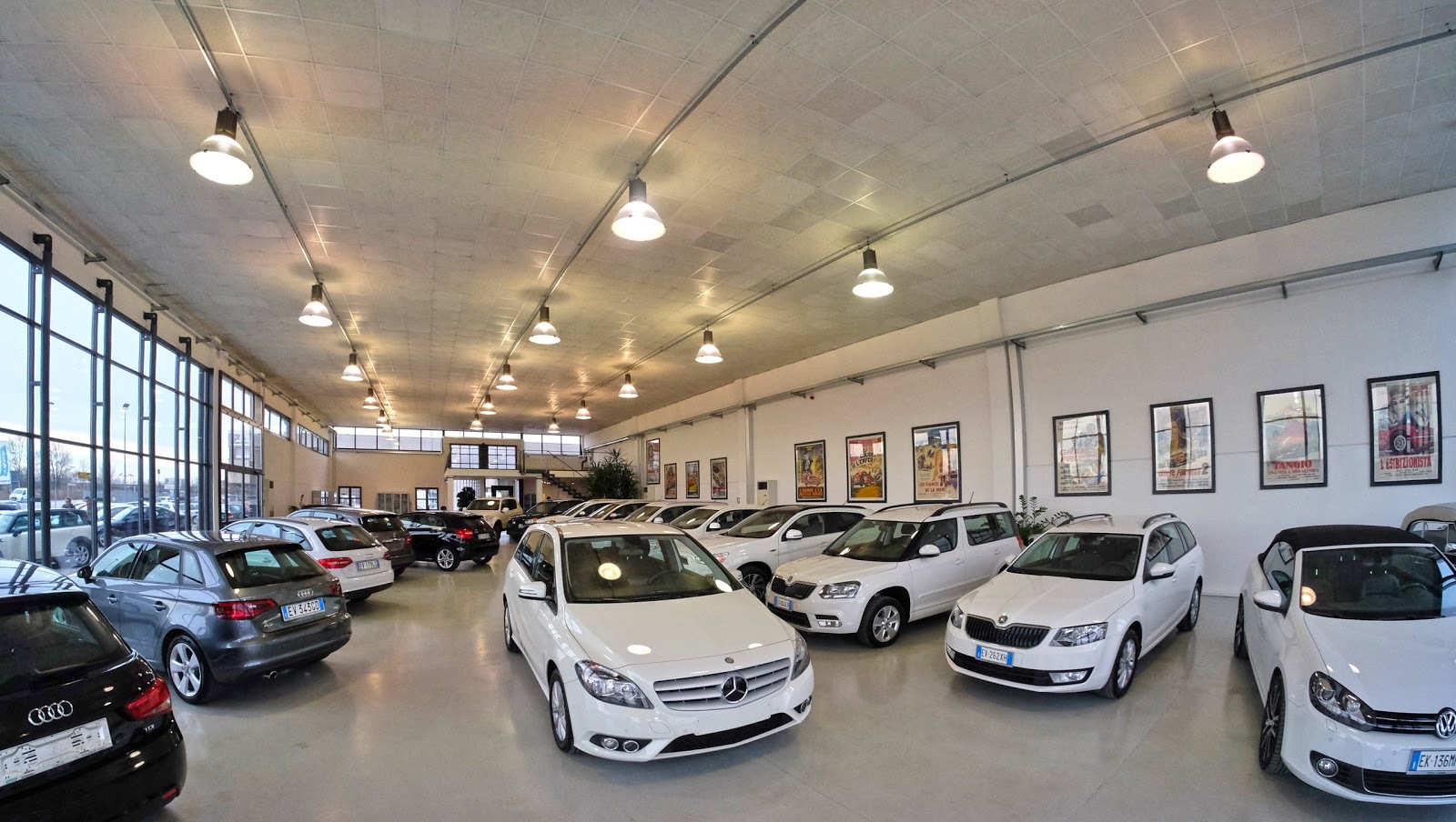 ELISCAR SRL