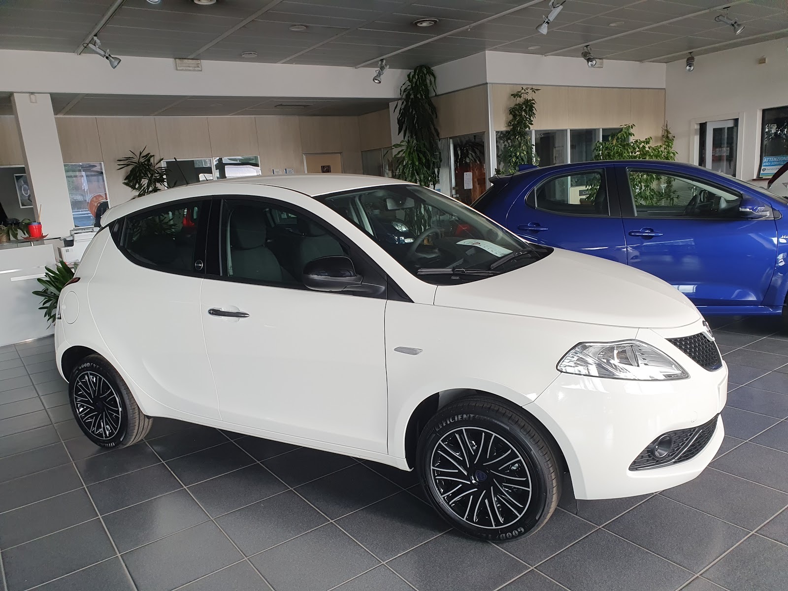 RIBAUTO 2 SRL
