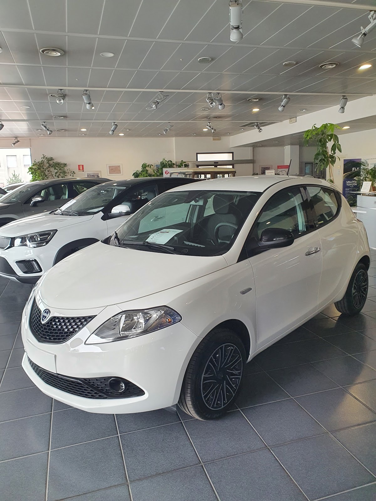 RIBAUTO 2 SRL