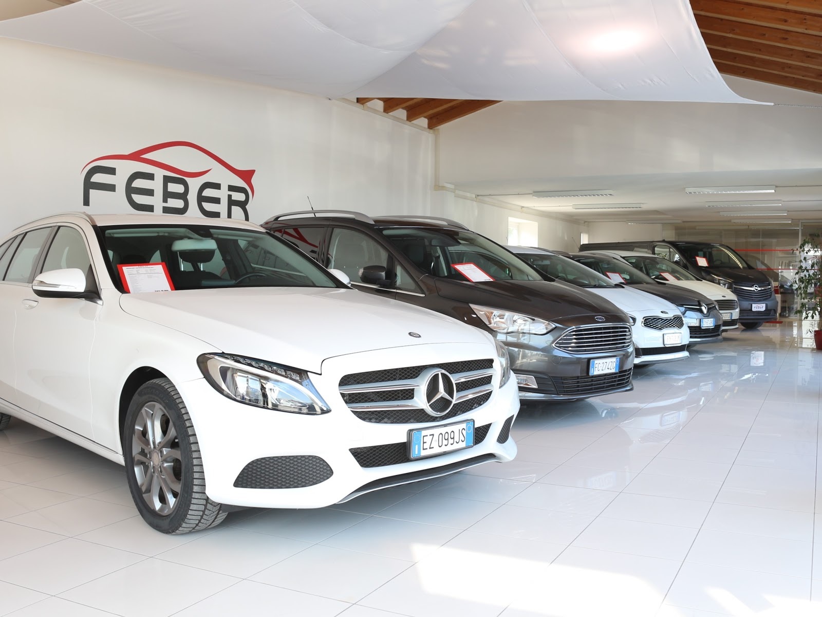 FEBER SRL