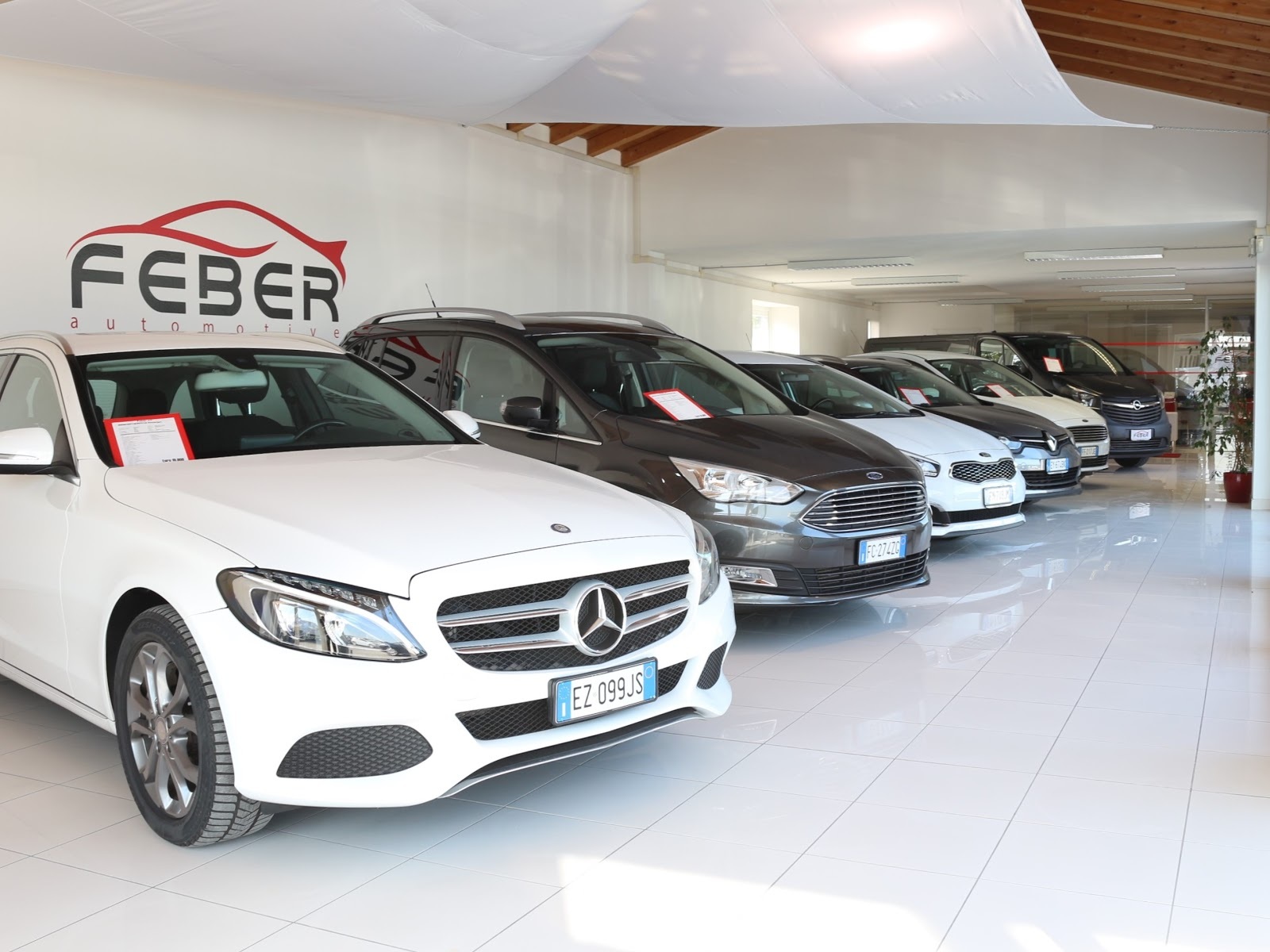 FEBER SRL