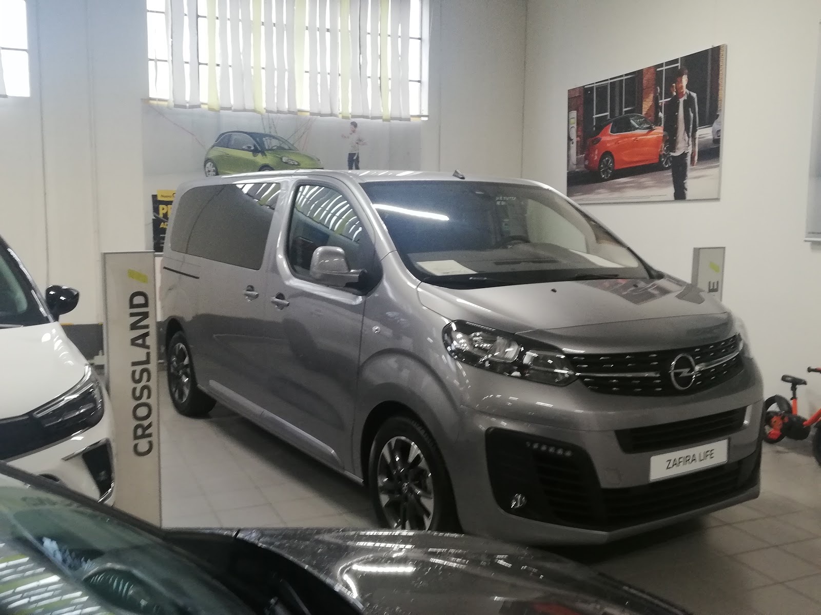 AUTO VIGHINI SRL