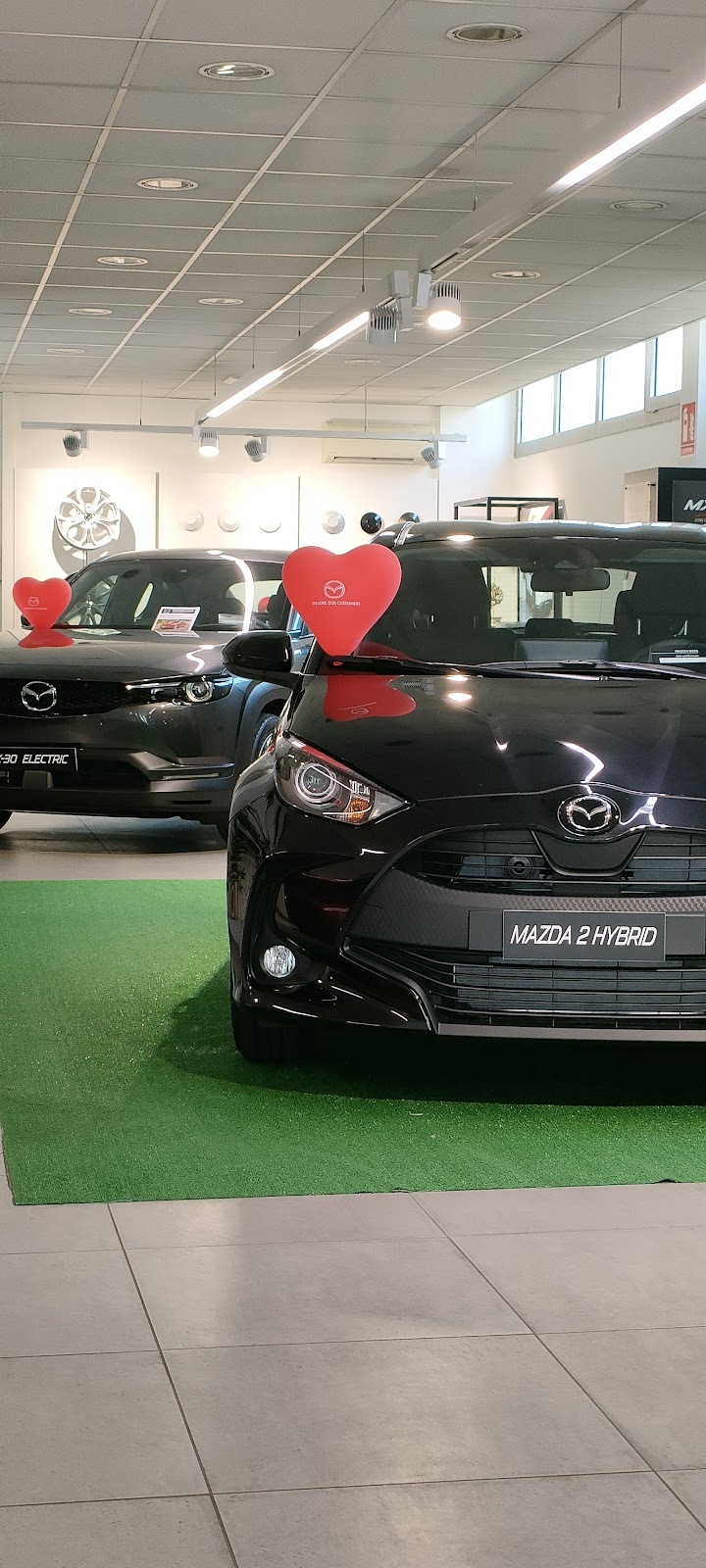 MUGNAINI AUTO SRL