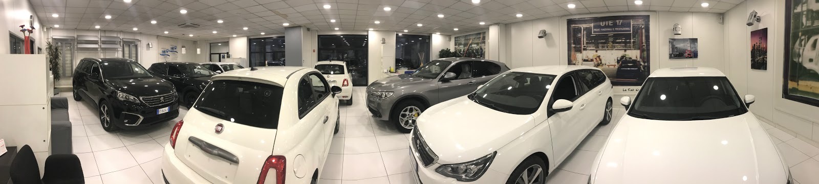 M.F. MOTORS & C. SRL