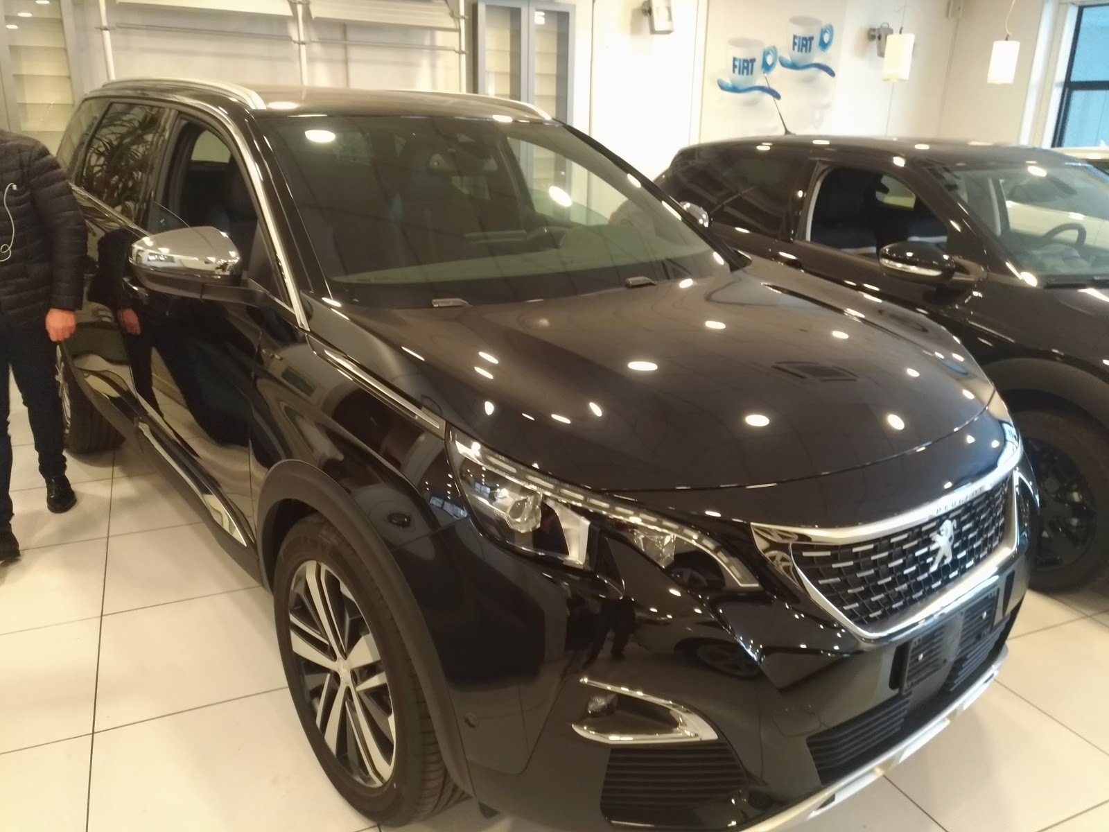 M.F. MOTORS & C. SRL