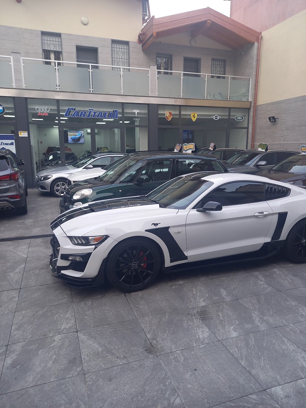 CARITALIA SRLS