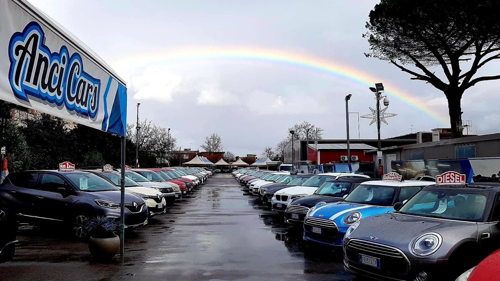 ANCI CARS DI APANOWICZ ANNA