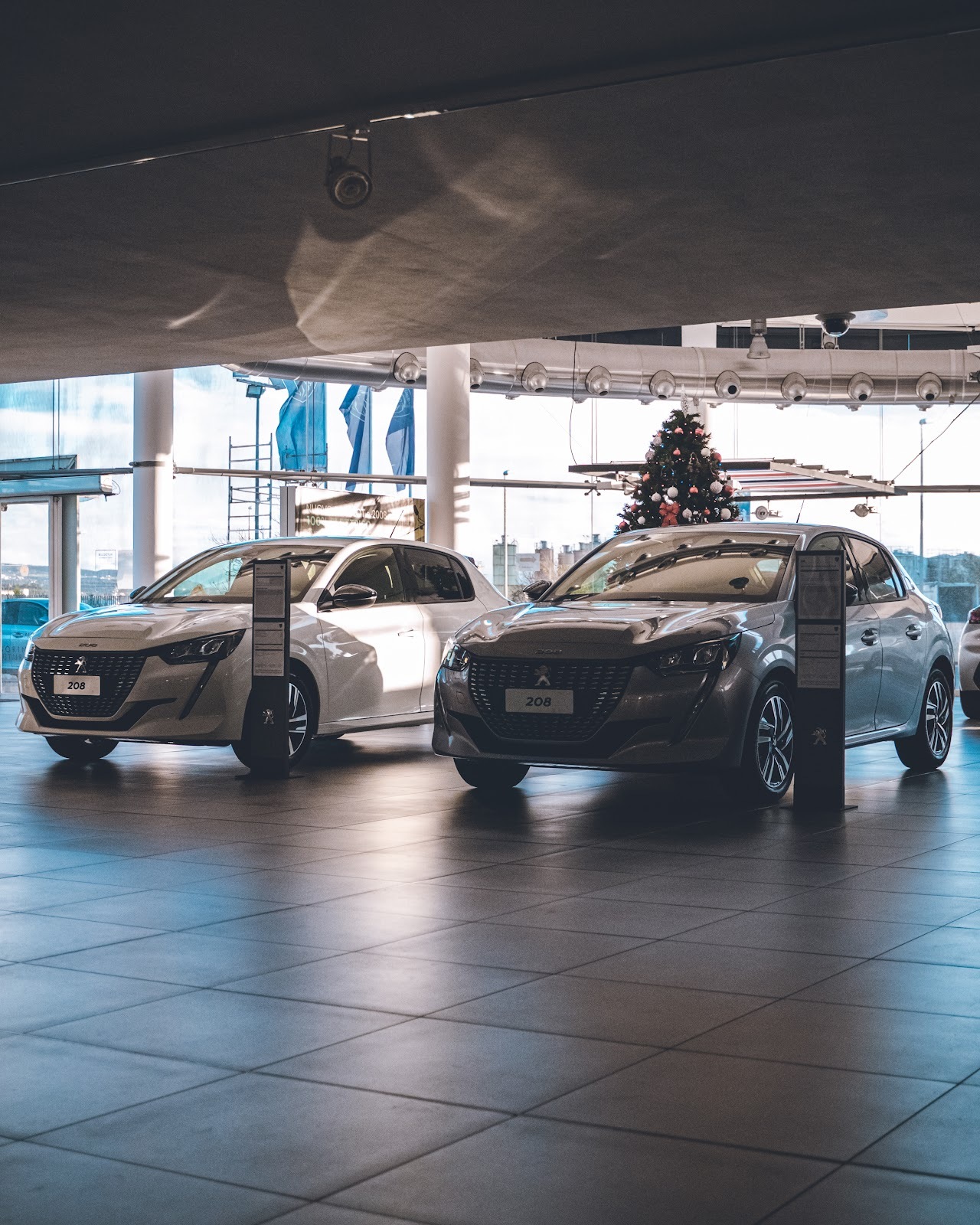 PIMAXCAR GROUP