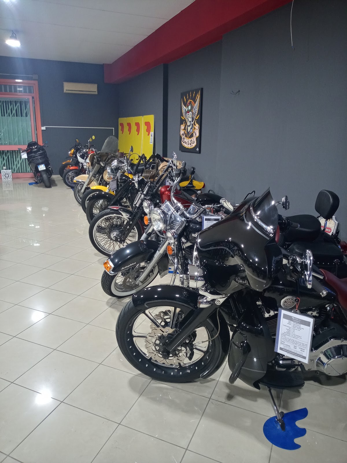 CMTMOTOR - TERMOLI