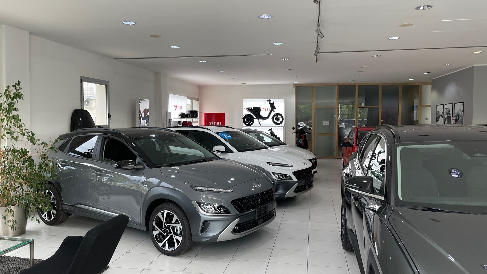 Perin Auto Srl