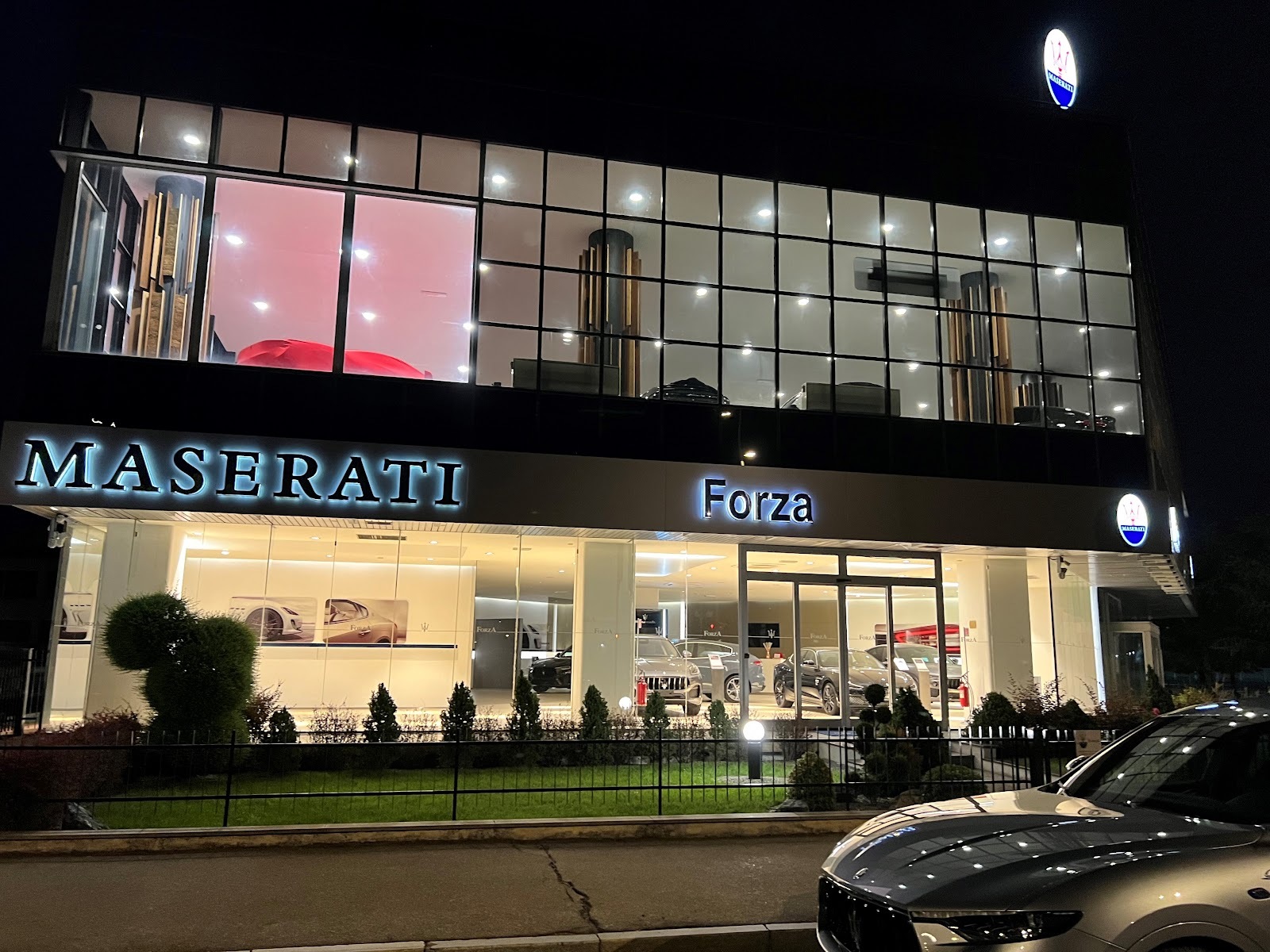 FORZA SPA