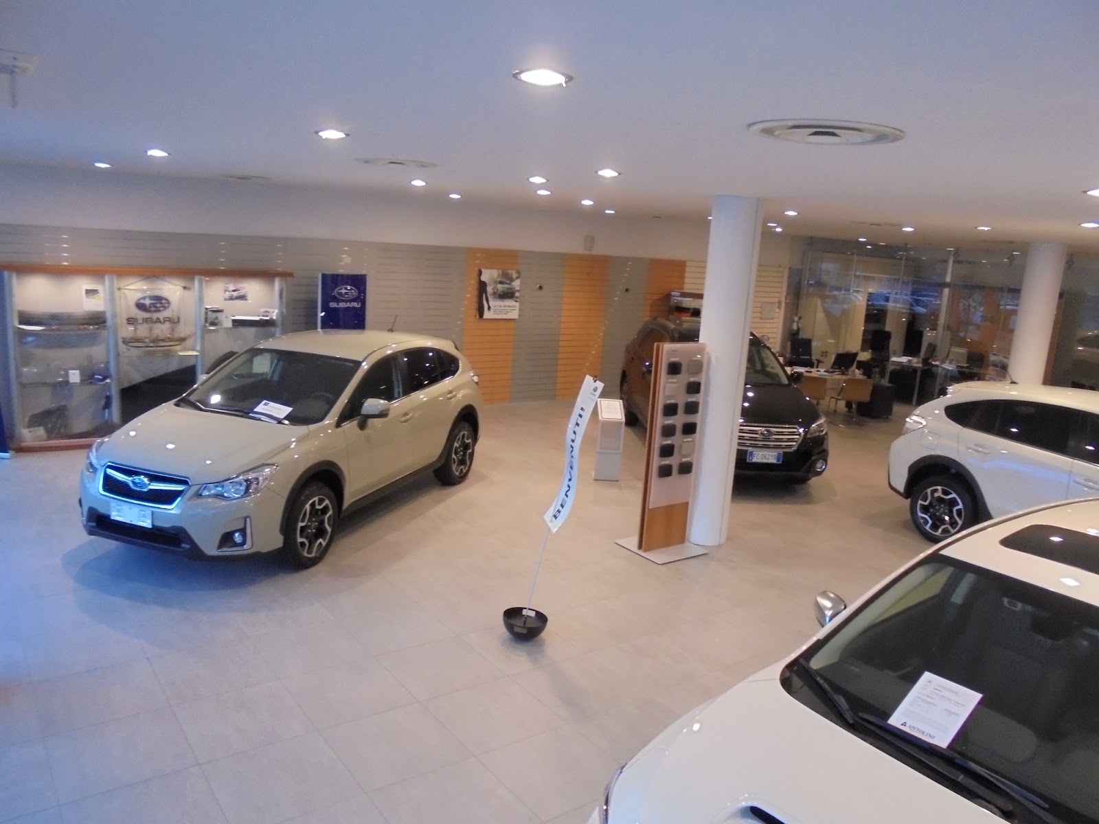 ANTOLINI SRL