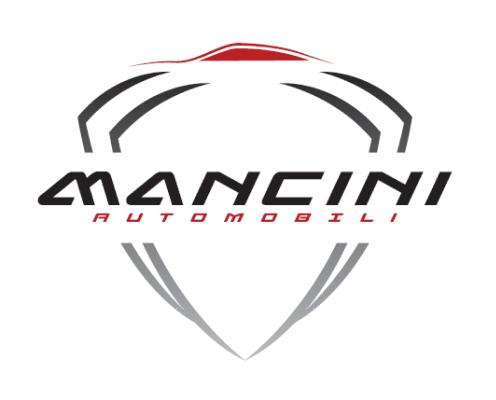 Logo di AUTOMOBILI FRANCO MANCINI SRL