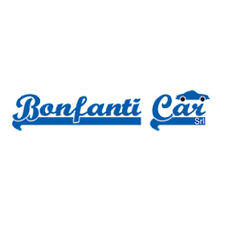 Logo di BONFANTI CAR SRL